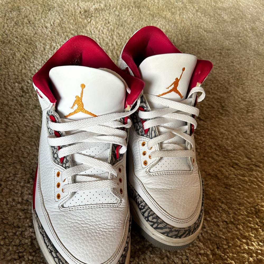 Size 9- Jordan 3 carnival